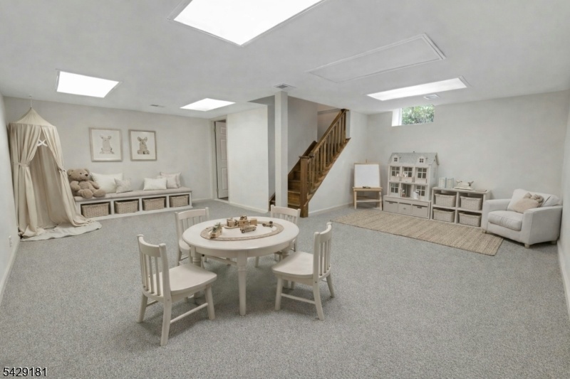 Lower Level Virtually Staged