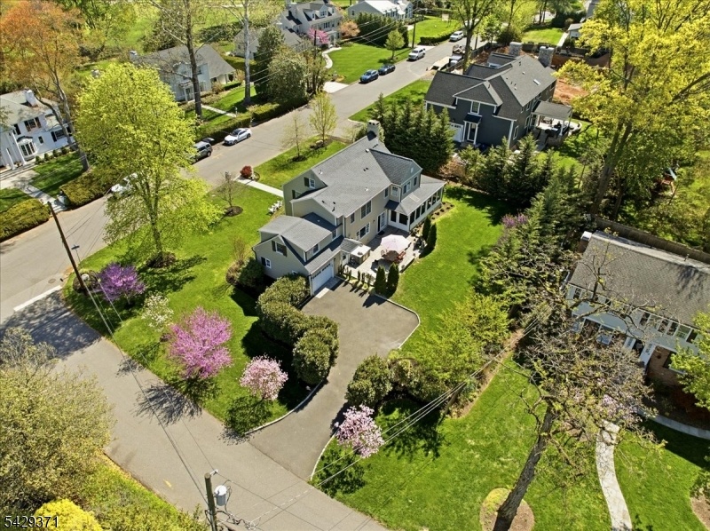 Aerial Shot
