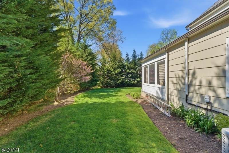 Side Yard