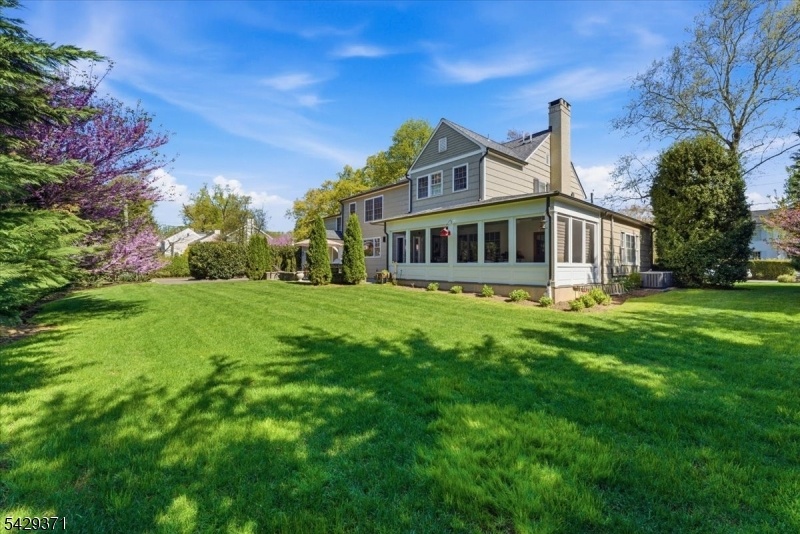 Spacious Backyard