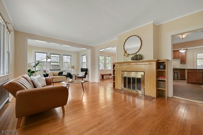Living Room w Fireplace
