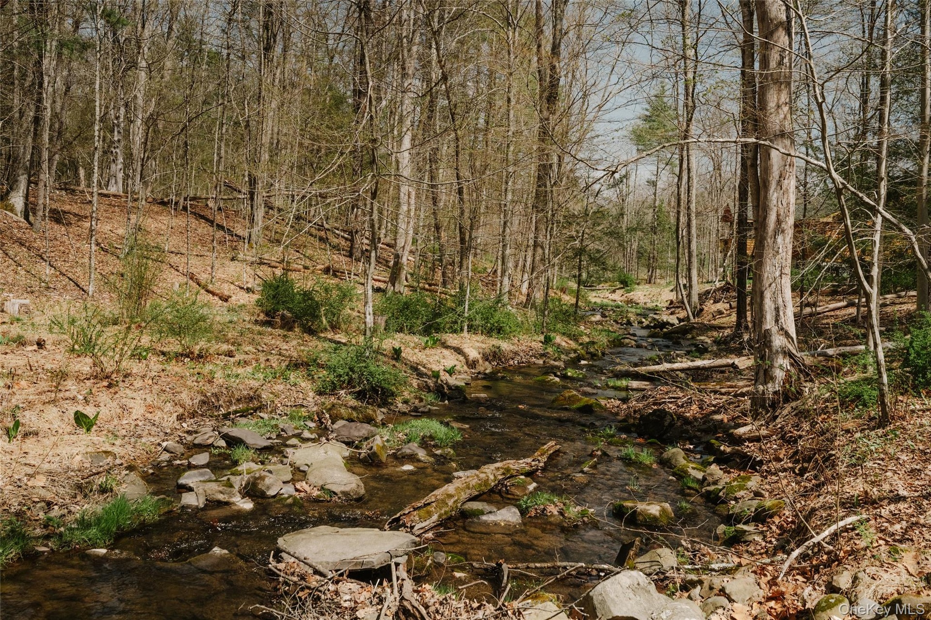 Creek on Property
