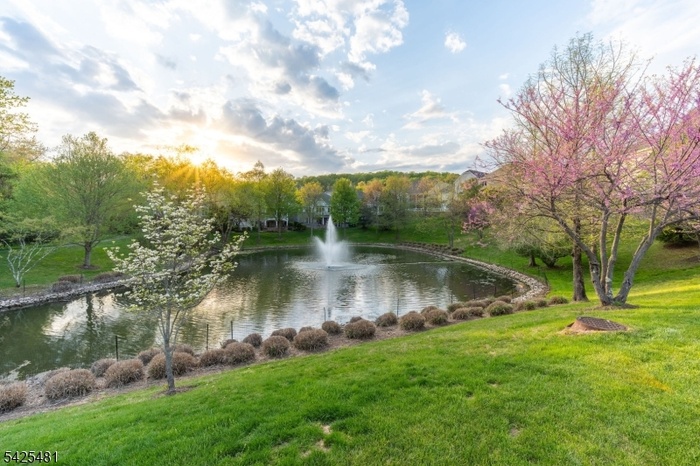 Pond with Fountain