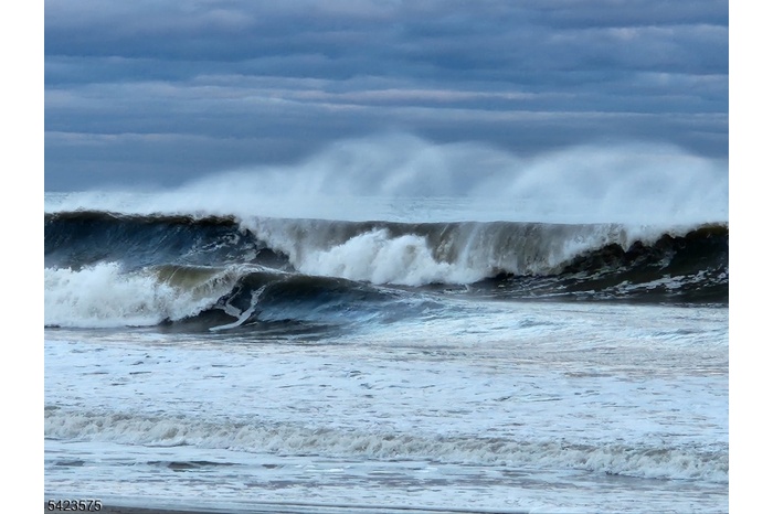 Surfs up!