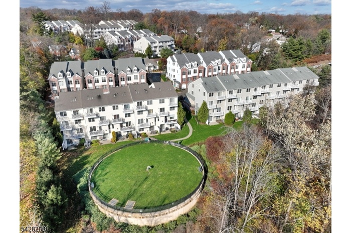 Aerial View of Dog Park