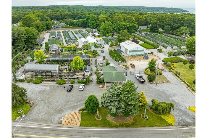 Bird's eye view of a forest