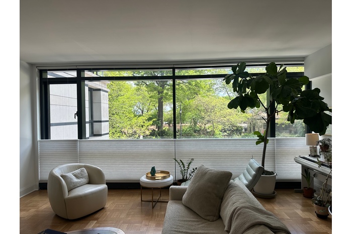 Actual 20' Wide Living Room with new window treatment (Bottom up/ Top down)