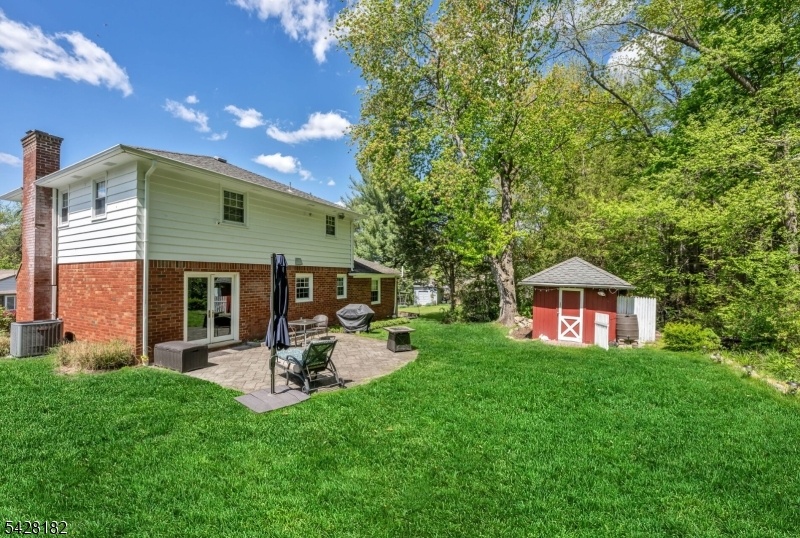 Rear Yard / Patio / Shed