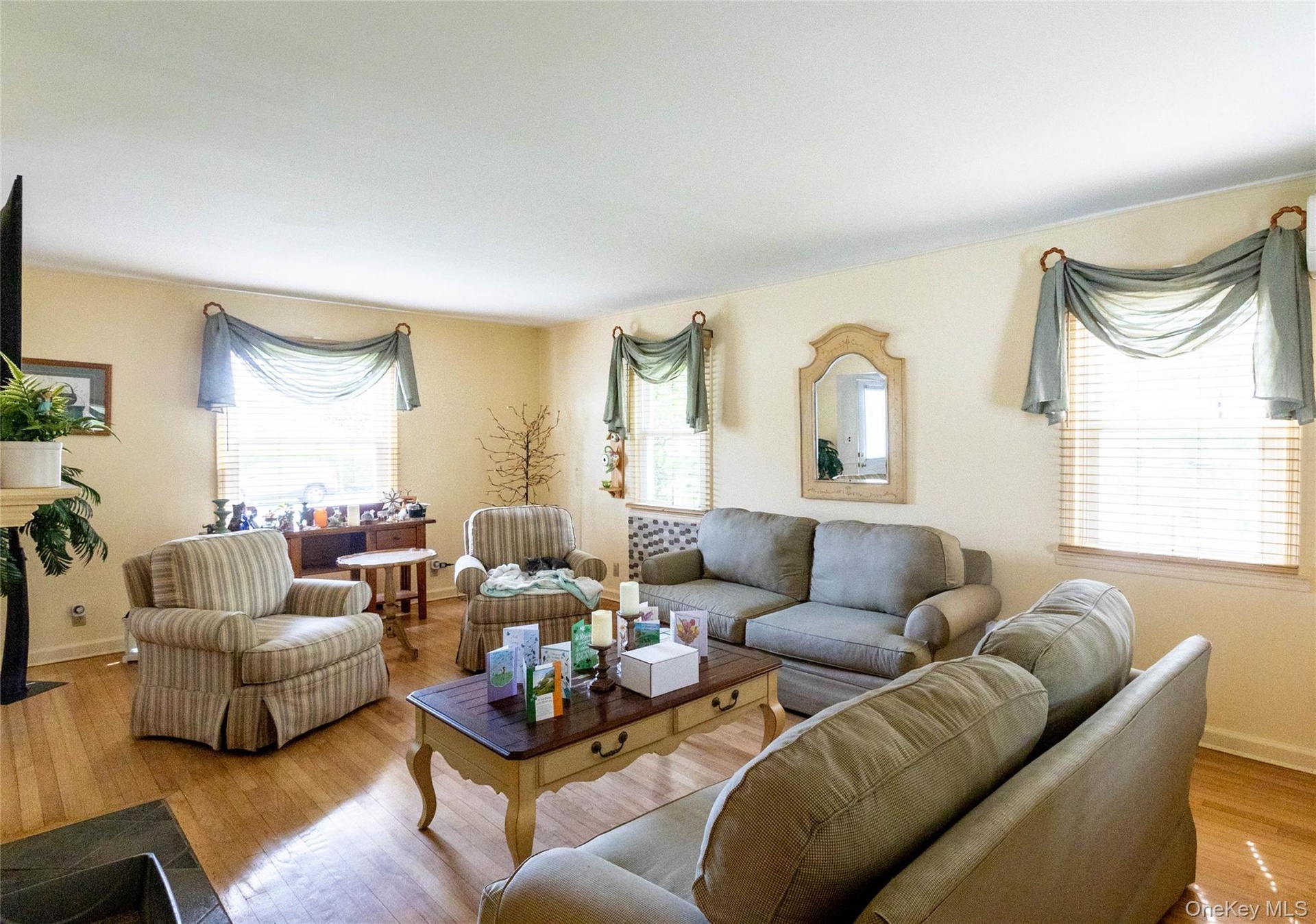 Spacious living area featuring light wood-finish flooring, multiple windows with blinds, a fireplace with a dark hearth, and light-colored walls