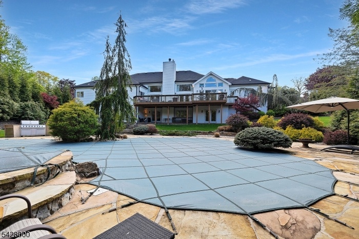 Rear yard view