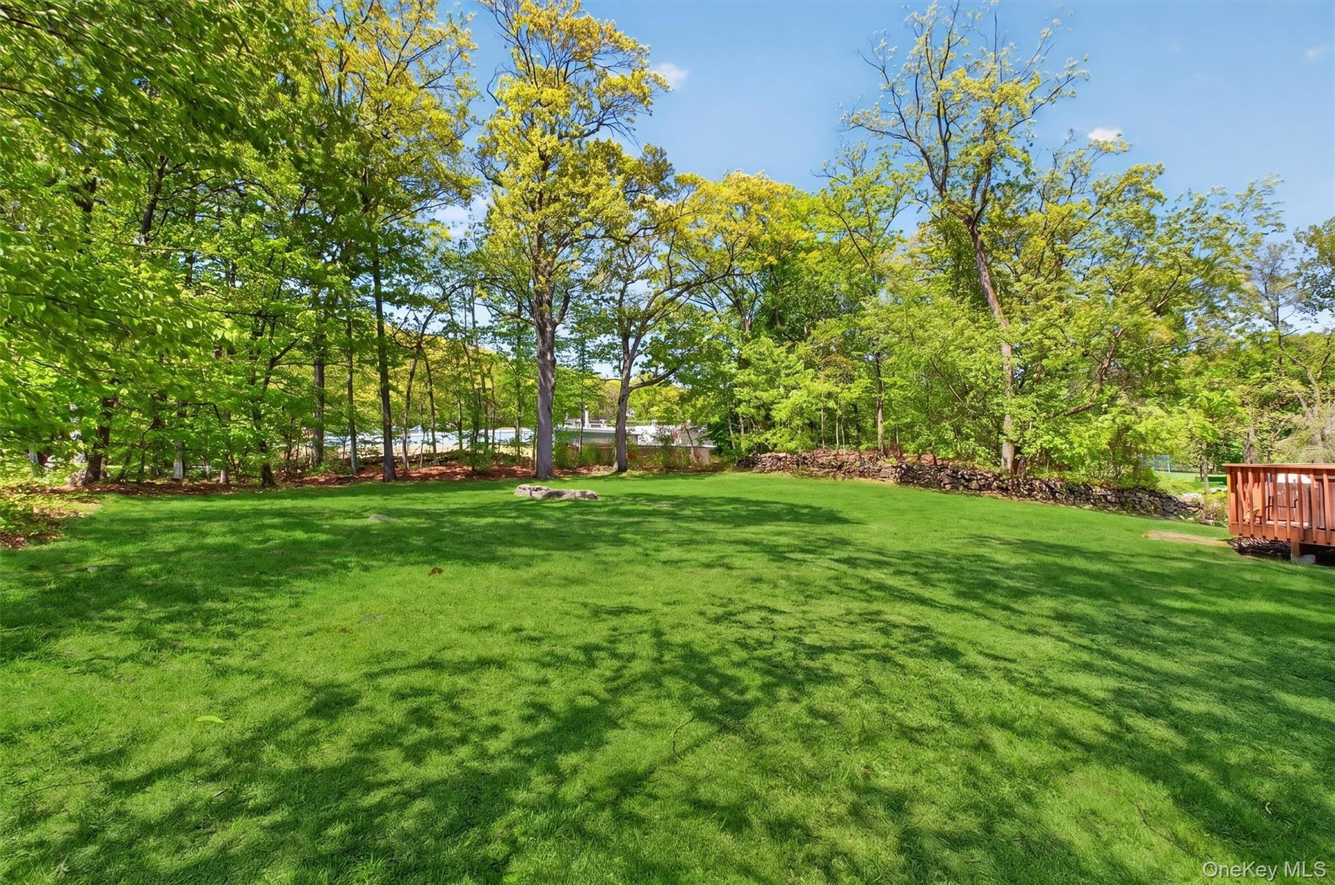 Sprawling yard.  A perfect spot for a pool.