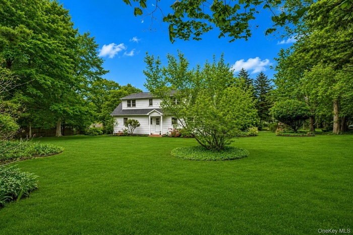 Spacious green lawn with mature trees and a central ornamental shrub