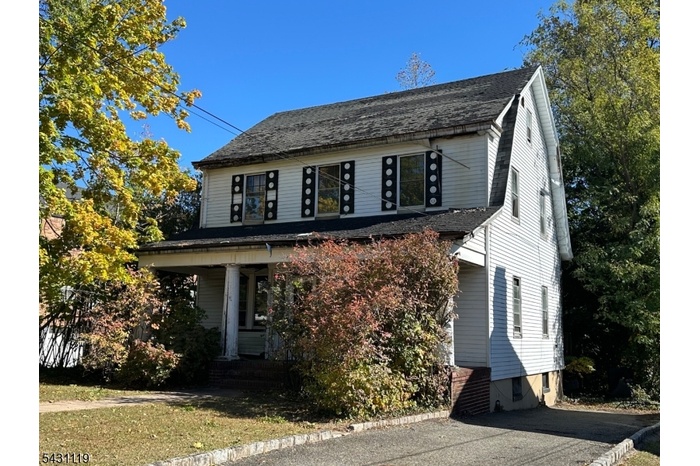 Side and driveway