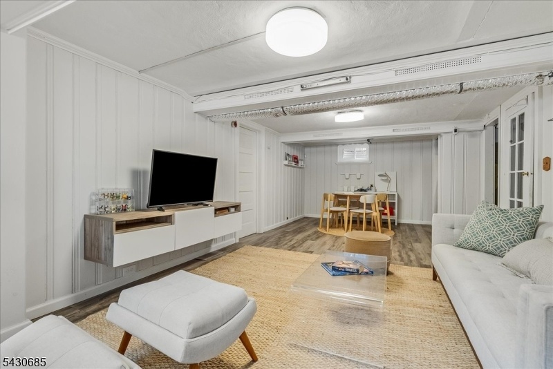 Basement/Family Room