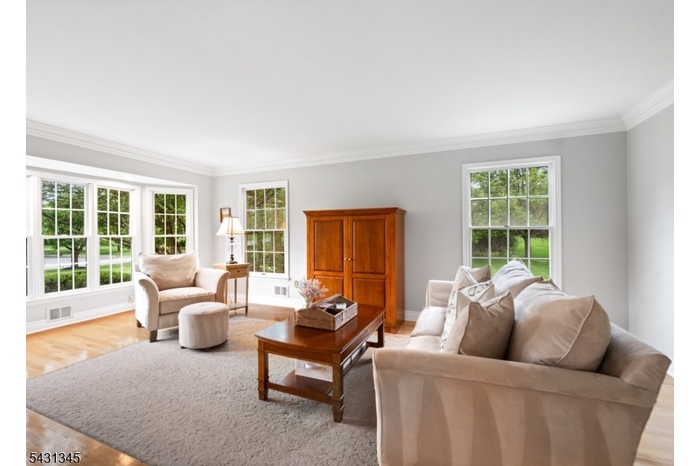 SUNLIT LIVING ROOM