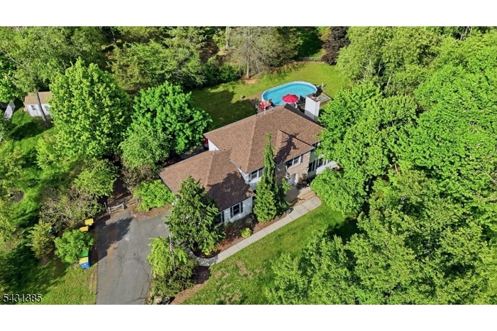 Drone View