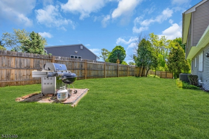 BACK YARD