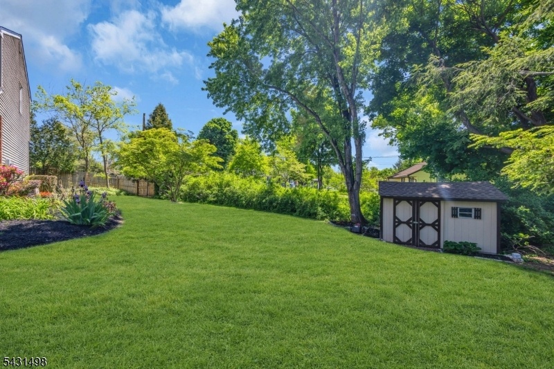 Yard