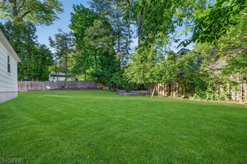 backyard view 3