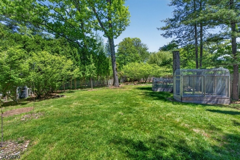 Flat Backyard