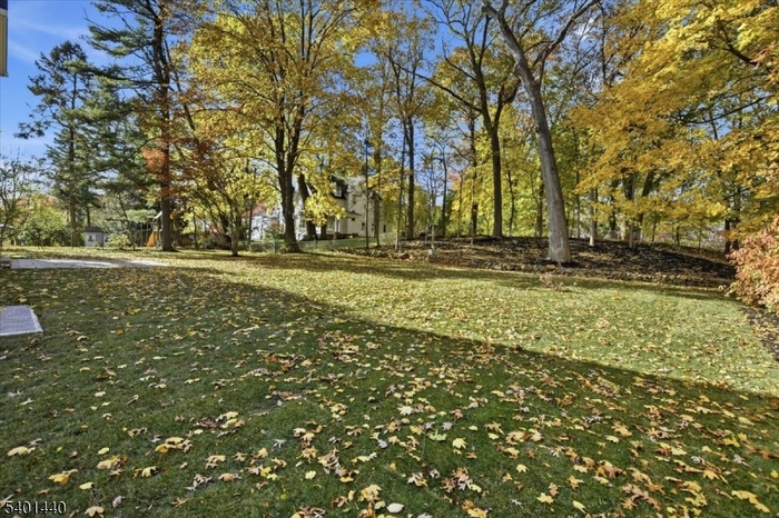 Lush large/level property