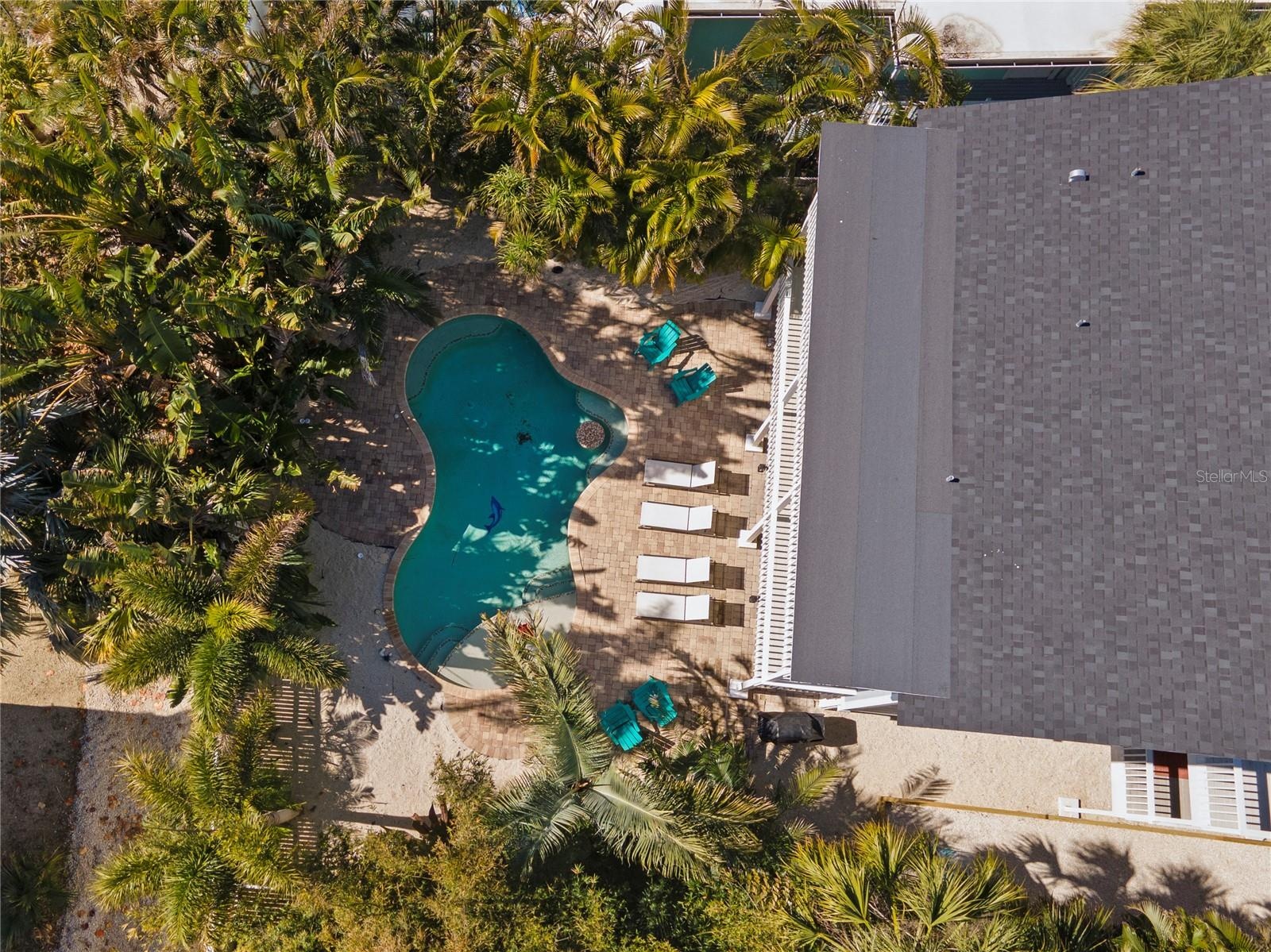 AERIAL VIEW OF POOL AREA