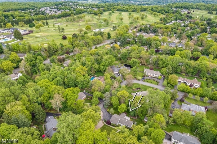 Aerial 1