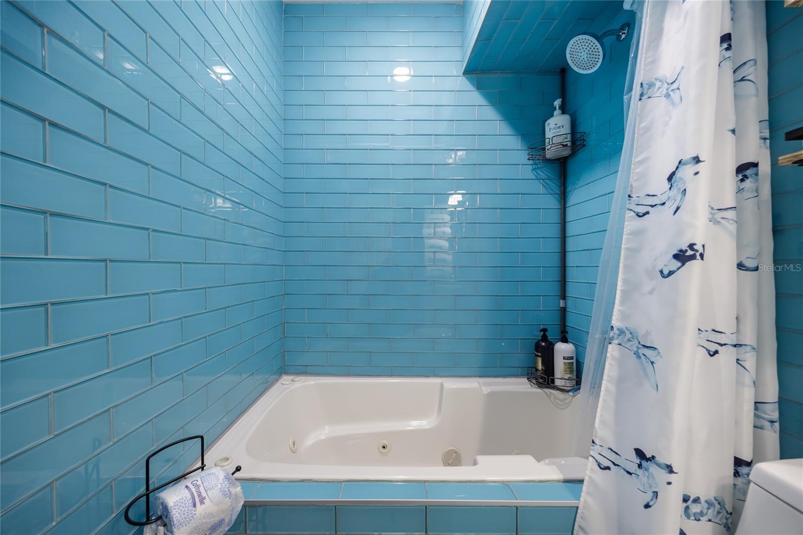 Full bathroom main home