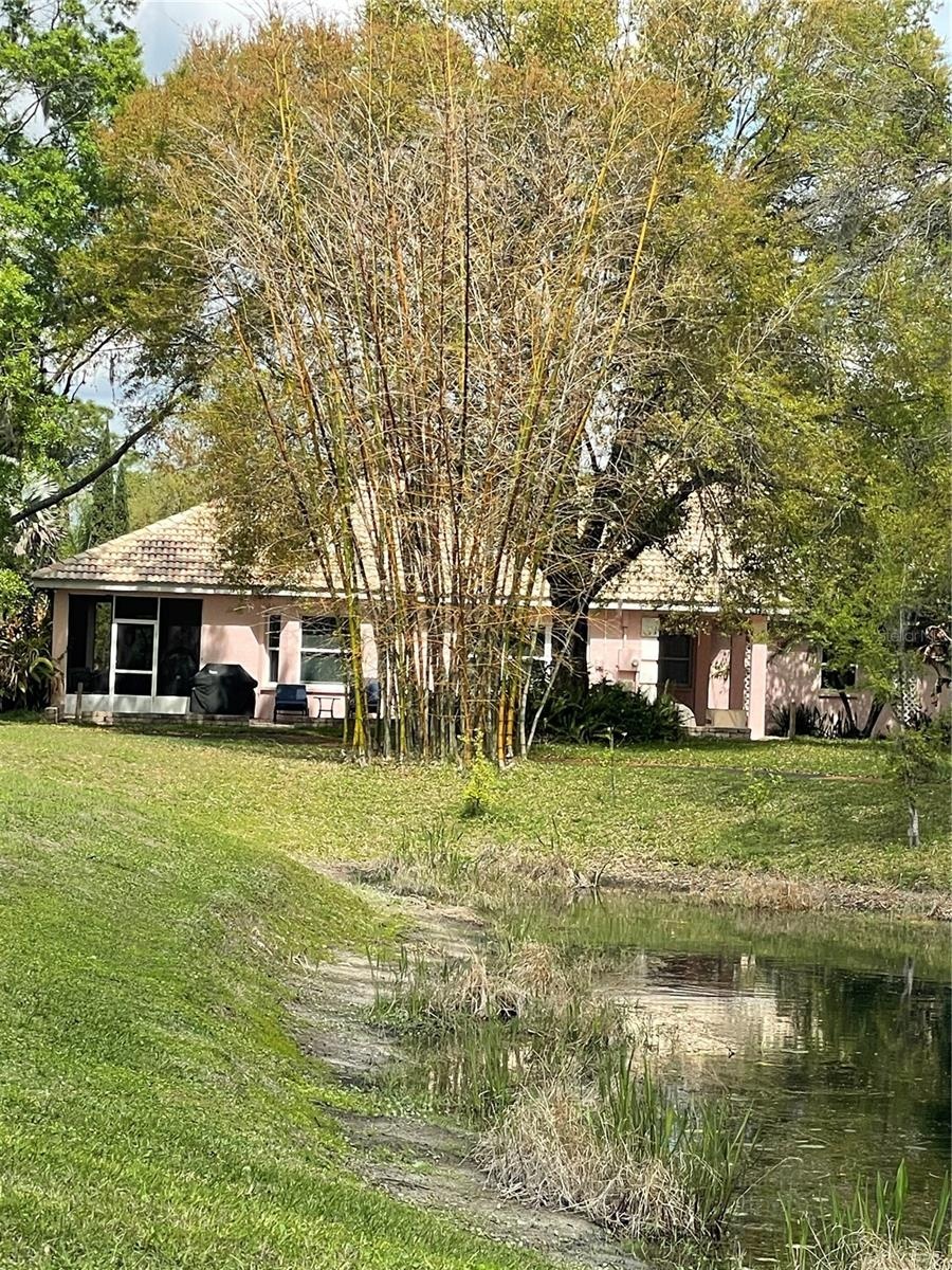 Sideview over pond