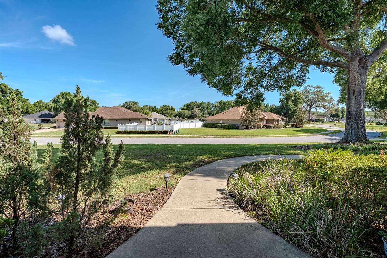 Front yard/sidewalk