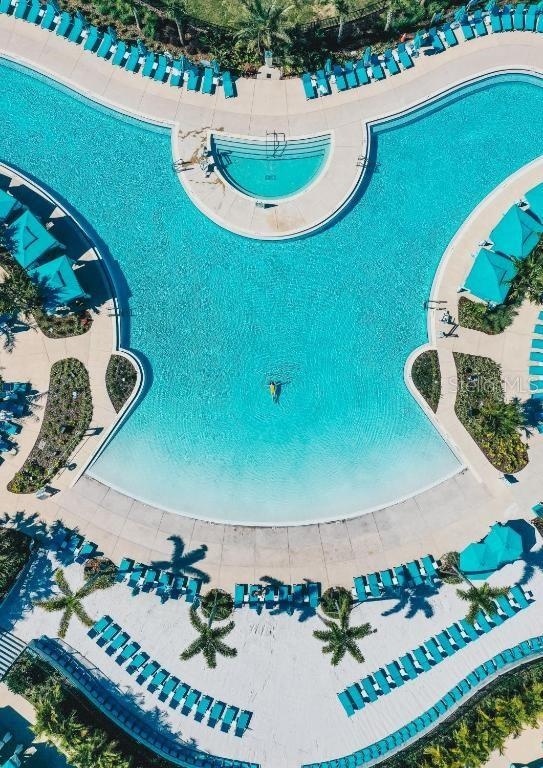 Resort style pool with lagoon design in Margaritaville Resort Orlando Kissimmee