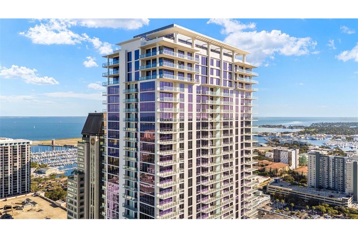 Art House and Tampa Bay