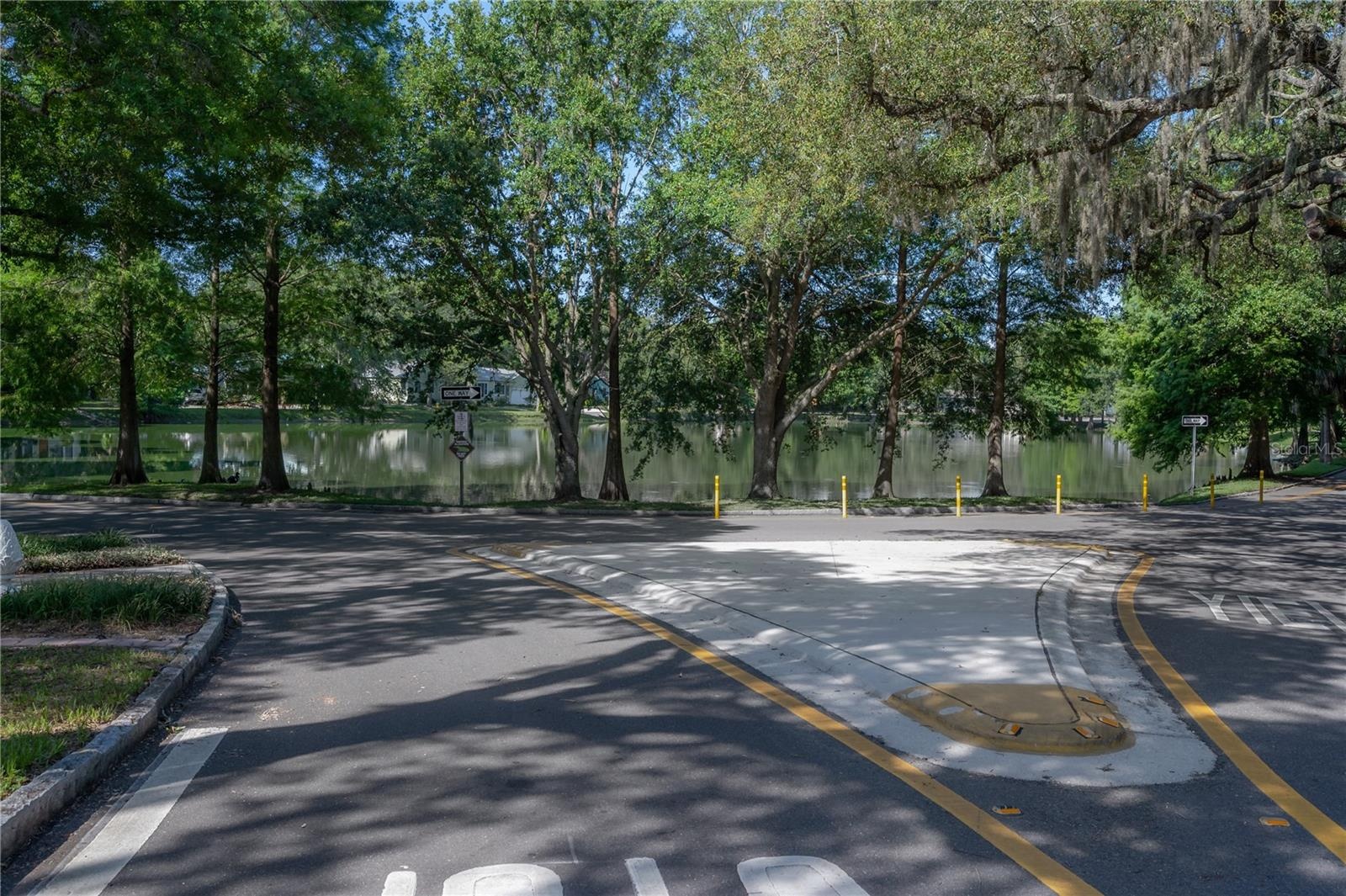 Hampton Terrace Neighborhood, Lake Roberta in Seminole Heights