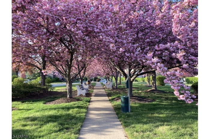 Complex walkway and benches