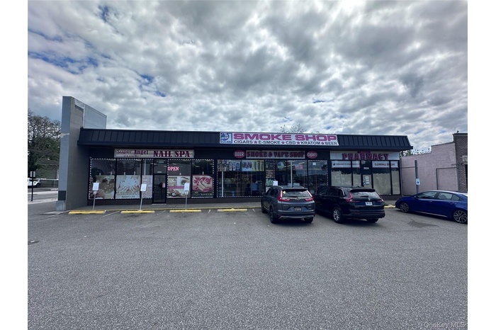 Merrick Plaza strip Mall (totally renovated)