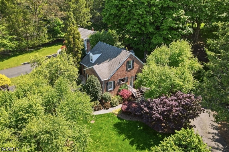 arial view
