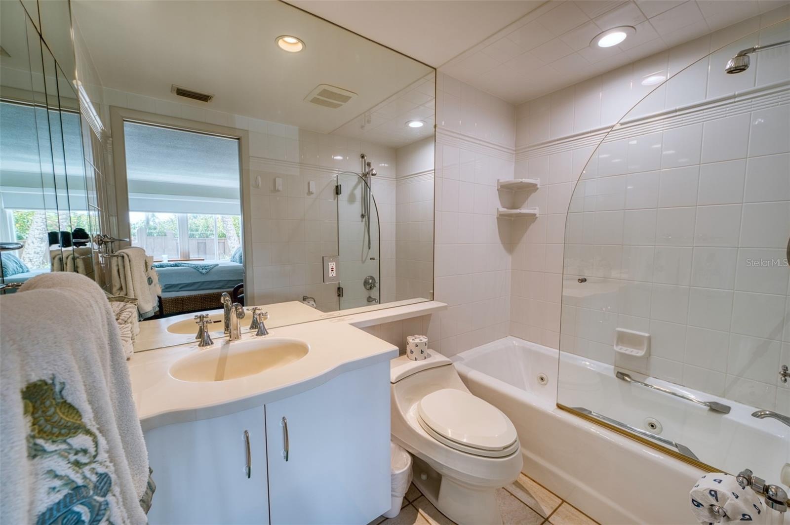 Guest Full Bathroom