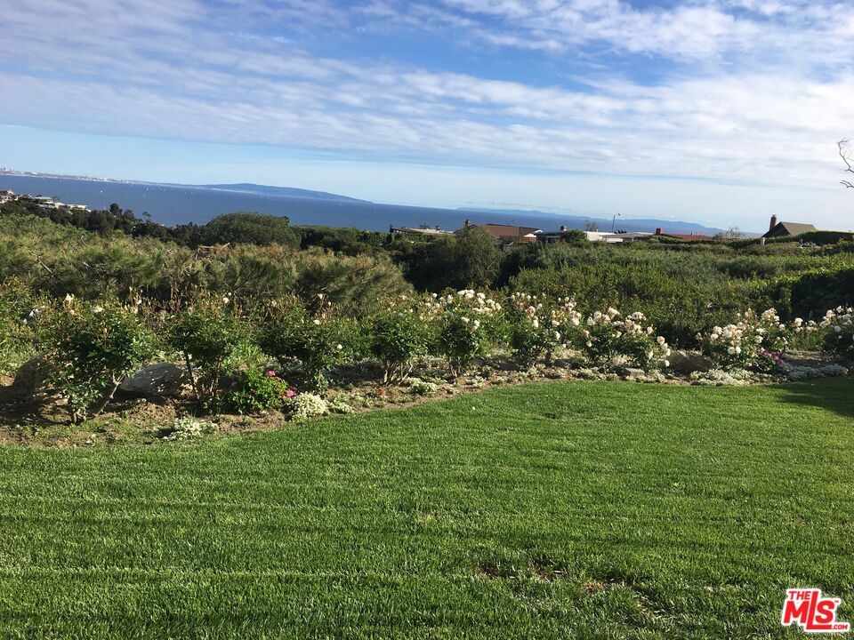 pre-fire views