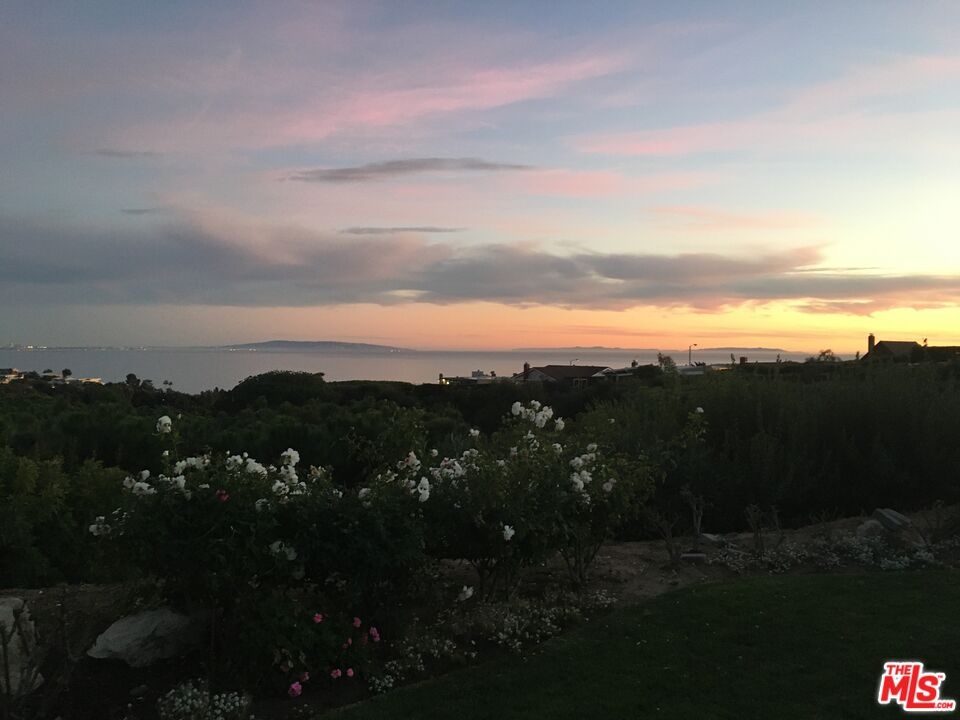 pre-fire views