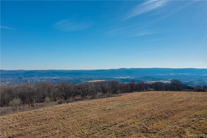 Nestled in the heart of the Town of Washington’s breathtaking countryside, this extraordinary 332+ acre property offers a rare opportunity to own an e