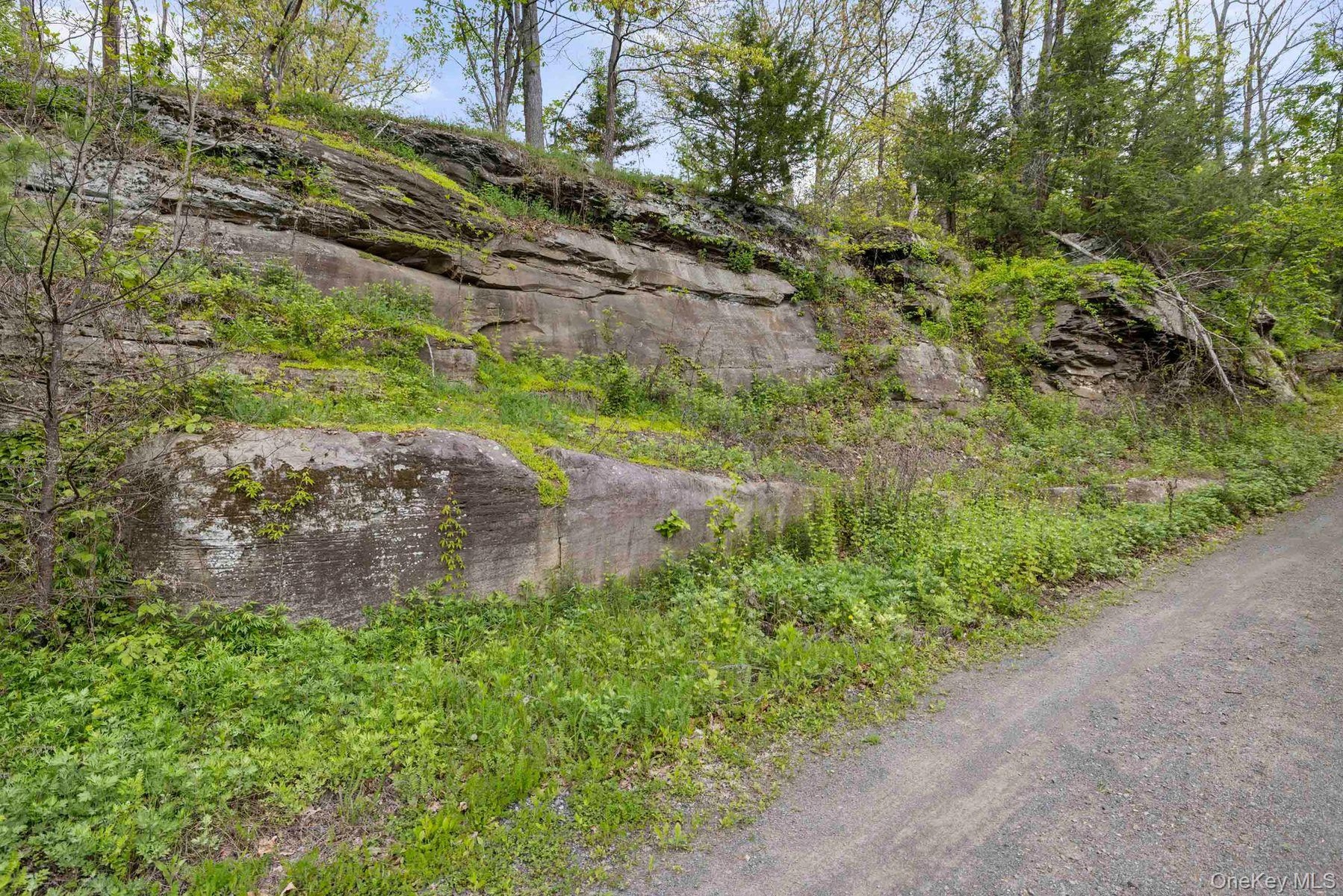 Rock Outcroppings