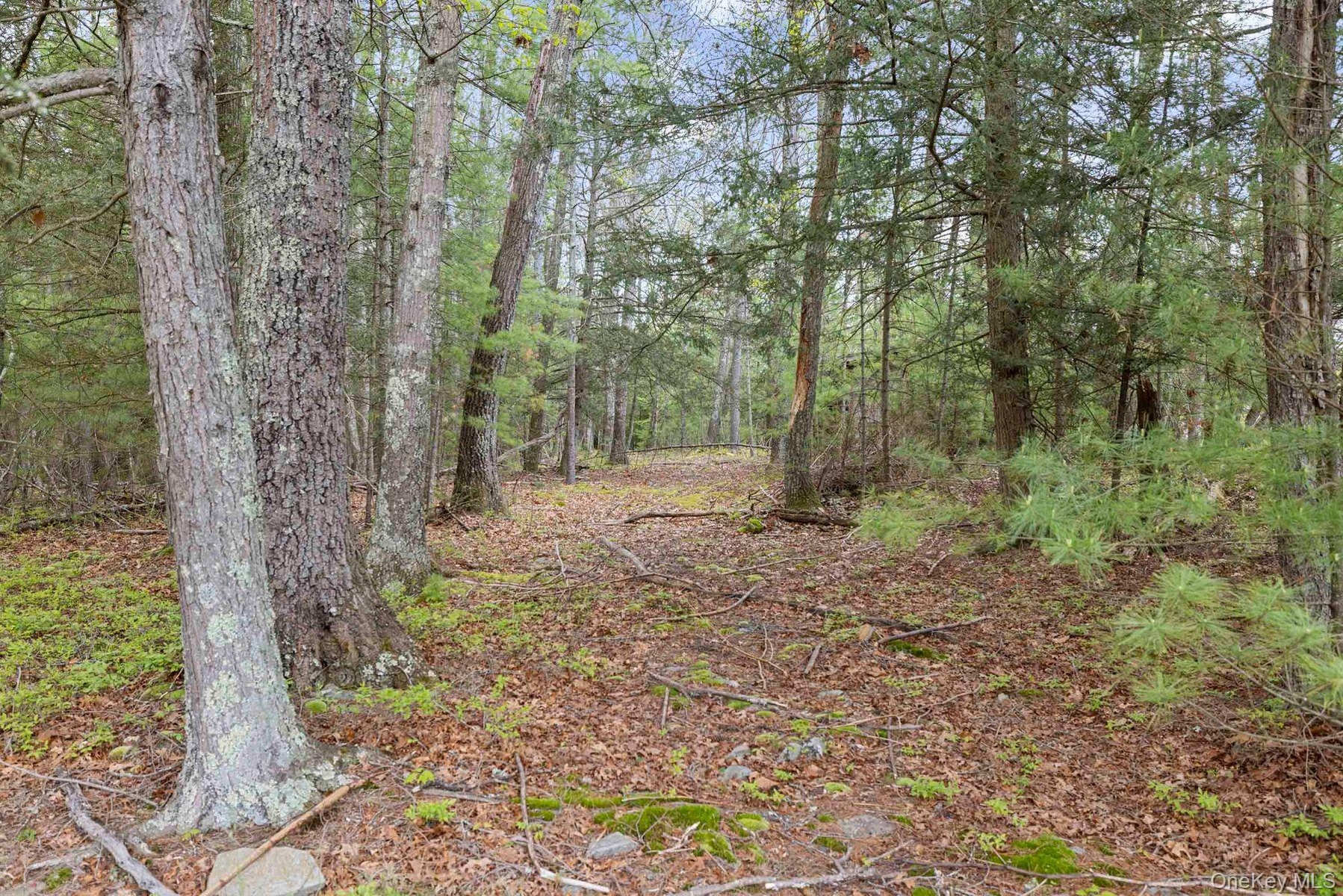 Meandering Paths
