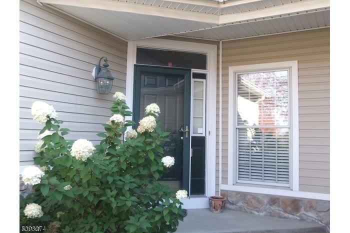 Front View-3