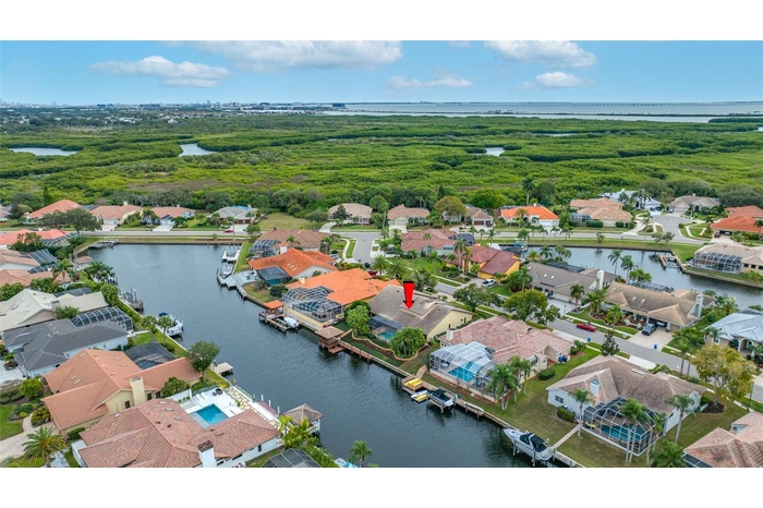 Aerial view with Tampa City in background