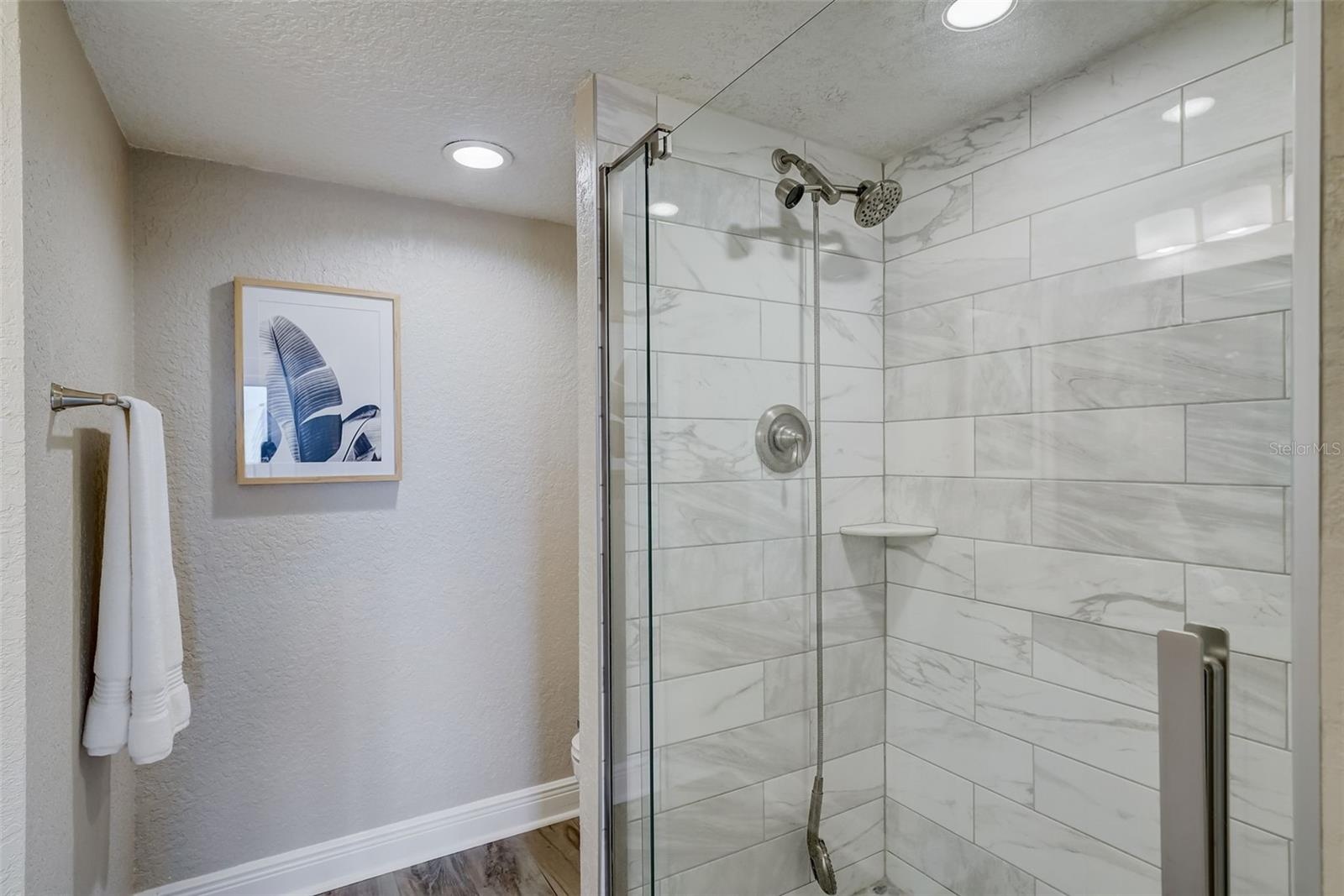 Guest Shower