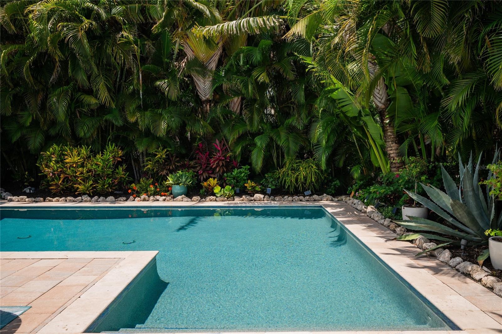 Mature tropical landscape all around