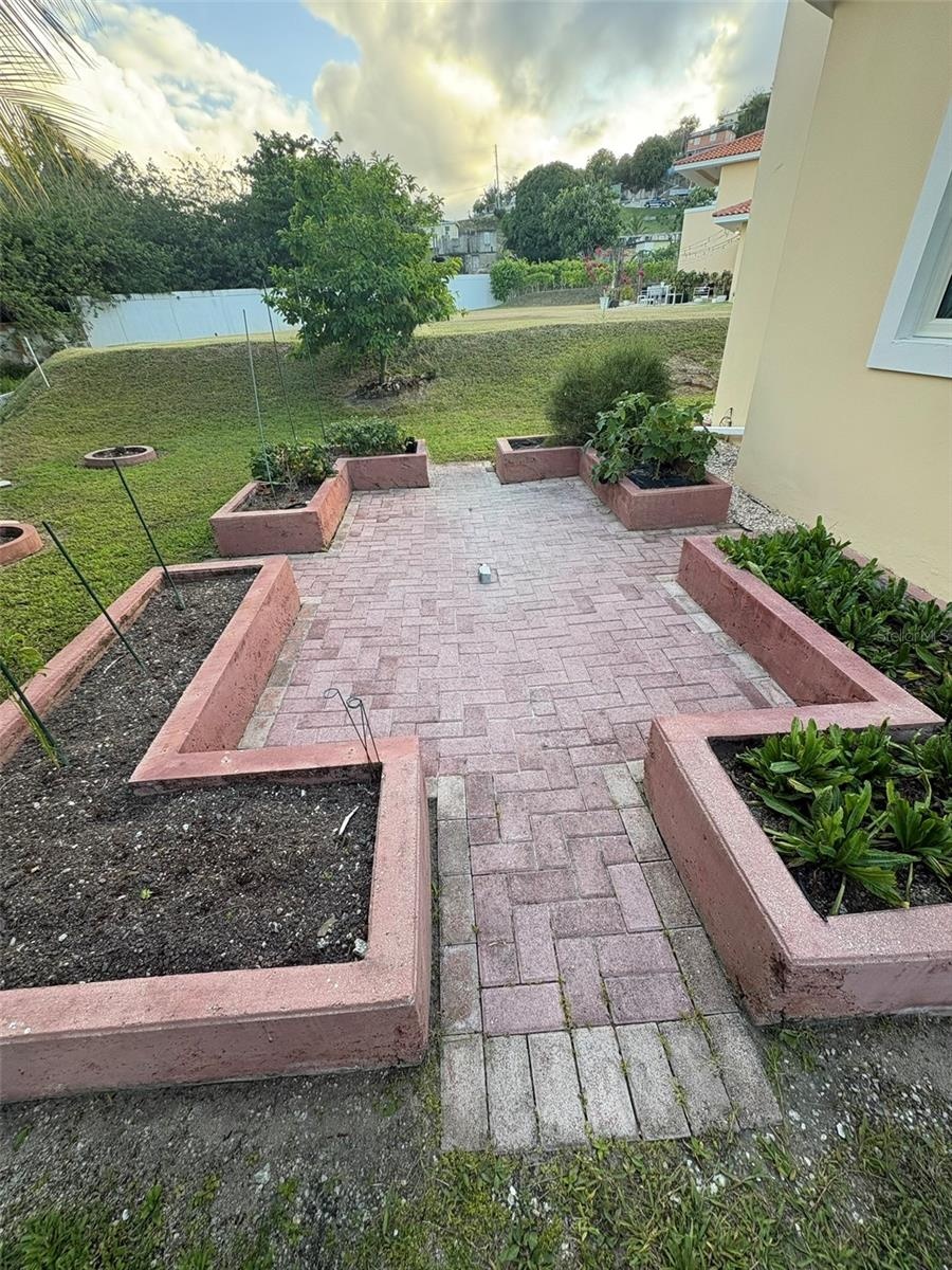 Vegetable Garden