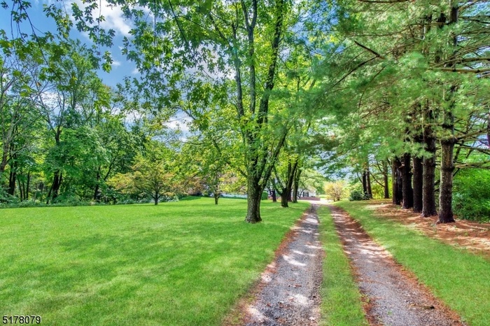 Driveway to home
