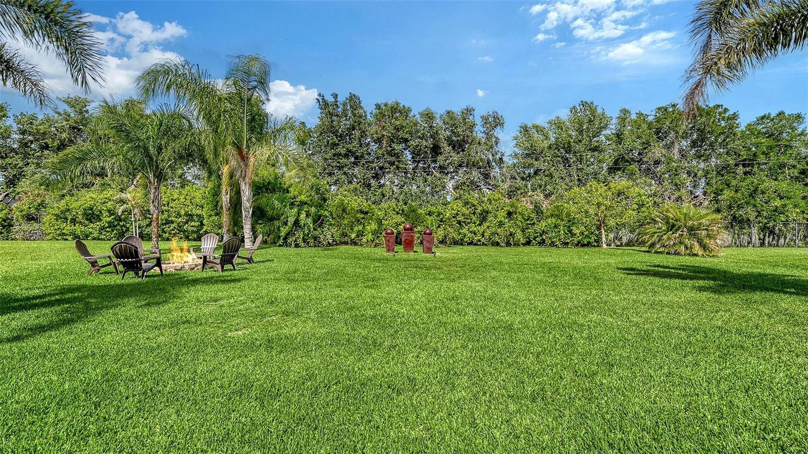 Back yard