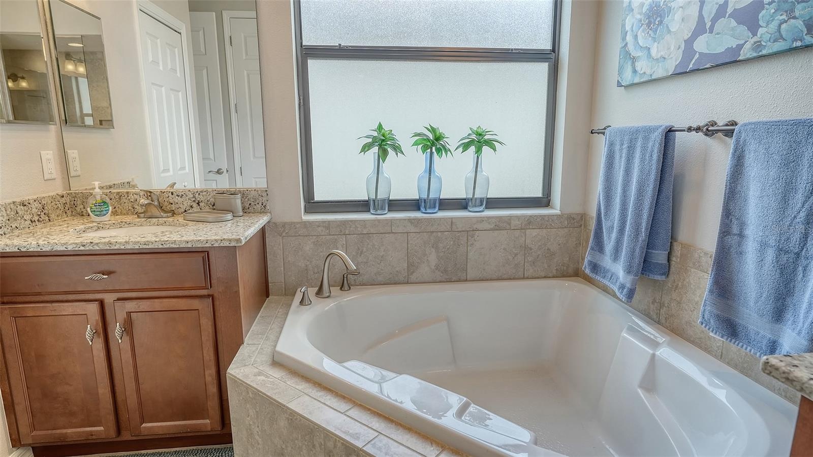 Primary Tub